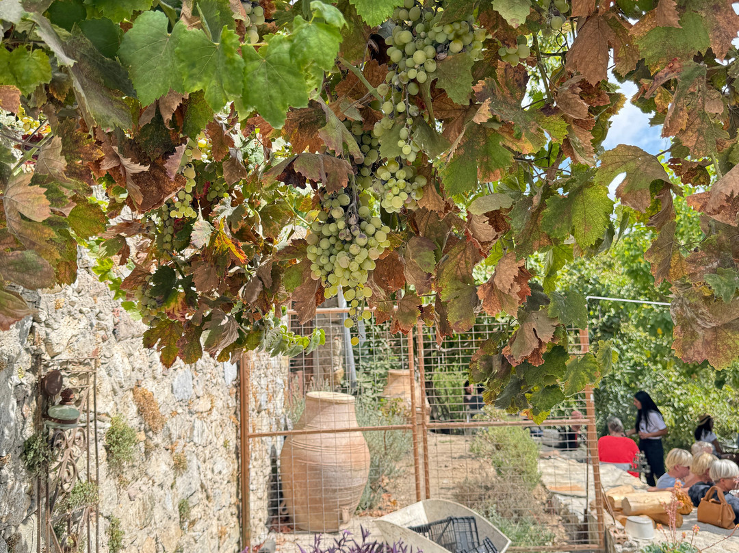 Iliana Malihin Wines-Melambes必去景点