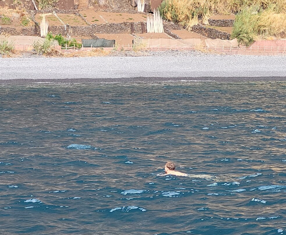 Atlantic Pearl Catamaran Trips-沙尔必去景点