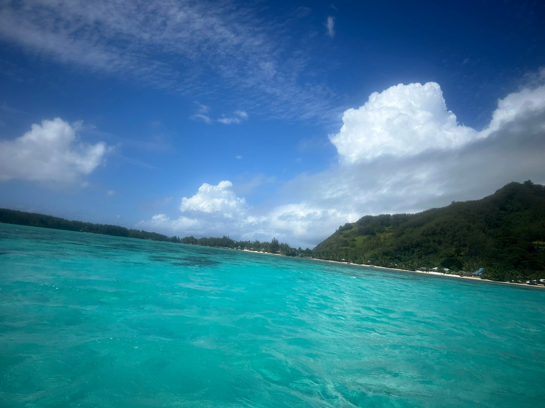 Voil'à Moorea-莫雷阿岛必去景点