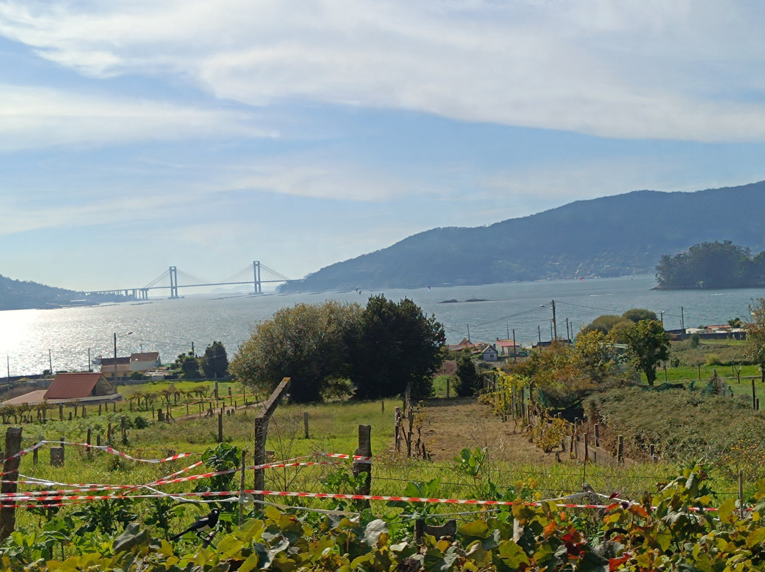 Playa de Cesantes-Redondela必去景点