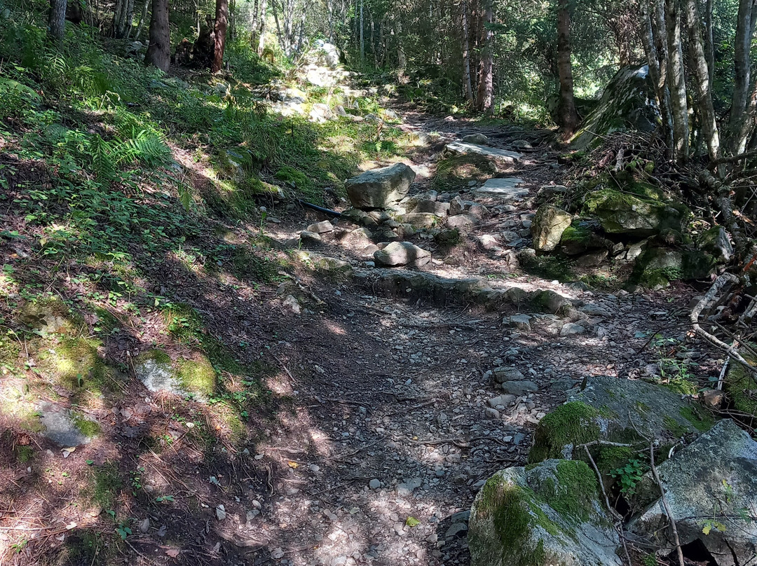 Cascata Egger-Anterselva di Mezzo必去景点