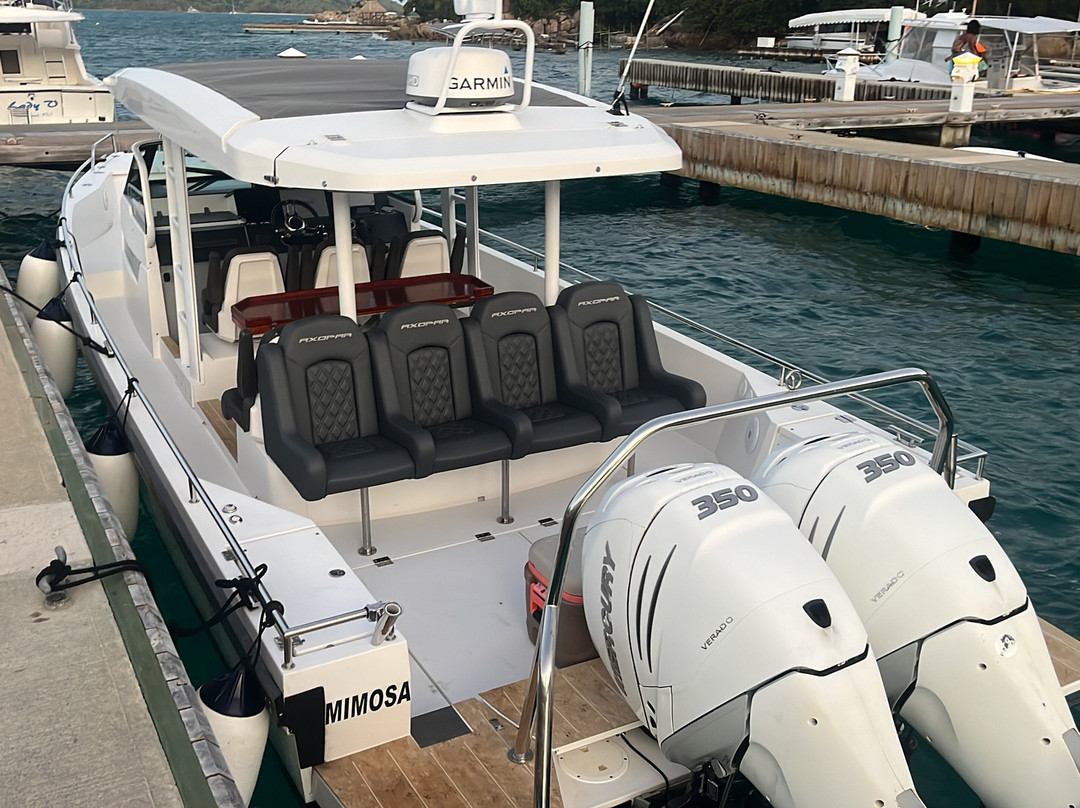 Blue Runner Charters And Boat Rentals-Spanish Town必去景点