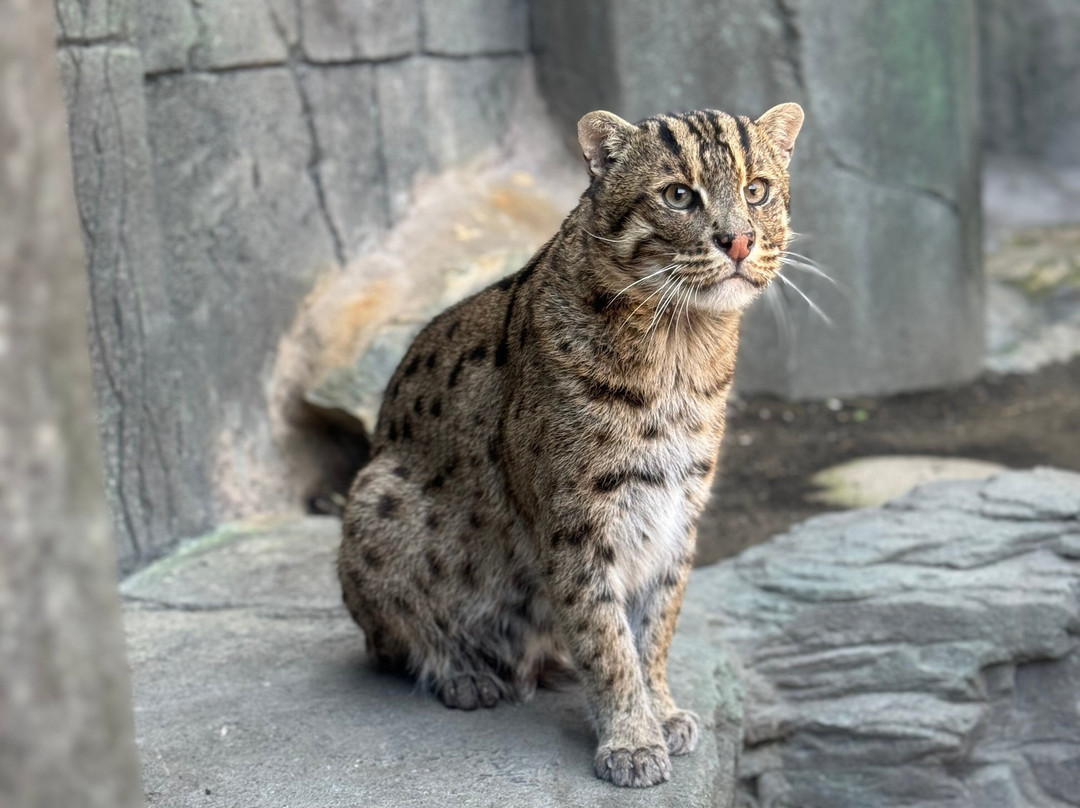 Long Island Aquarium-Riverhead必去景点