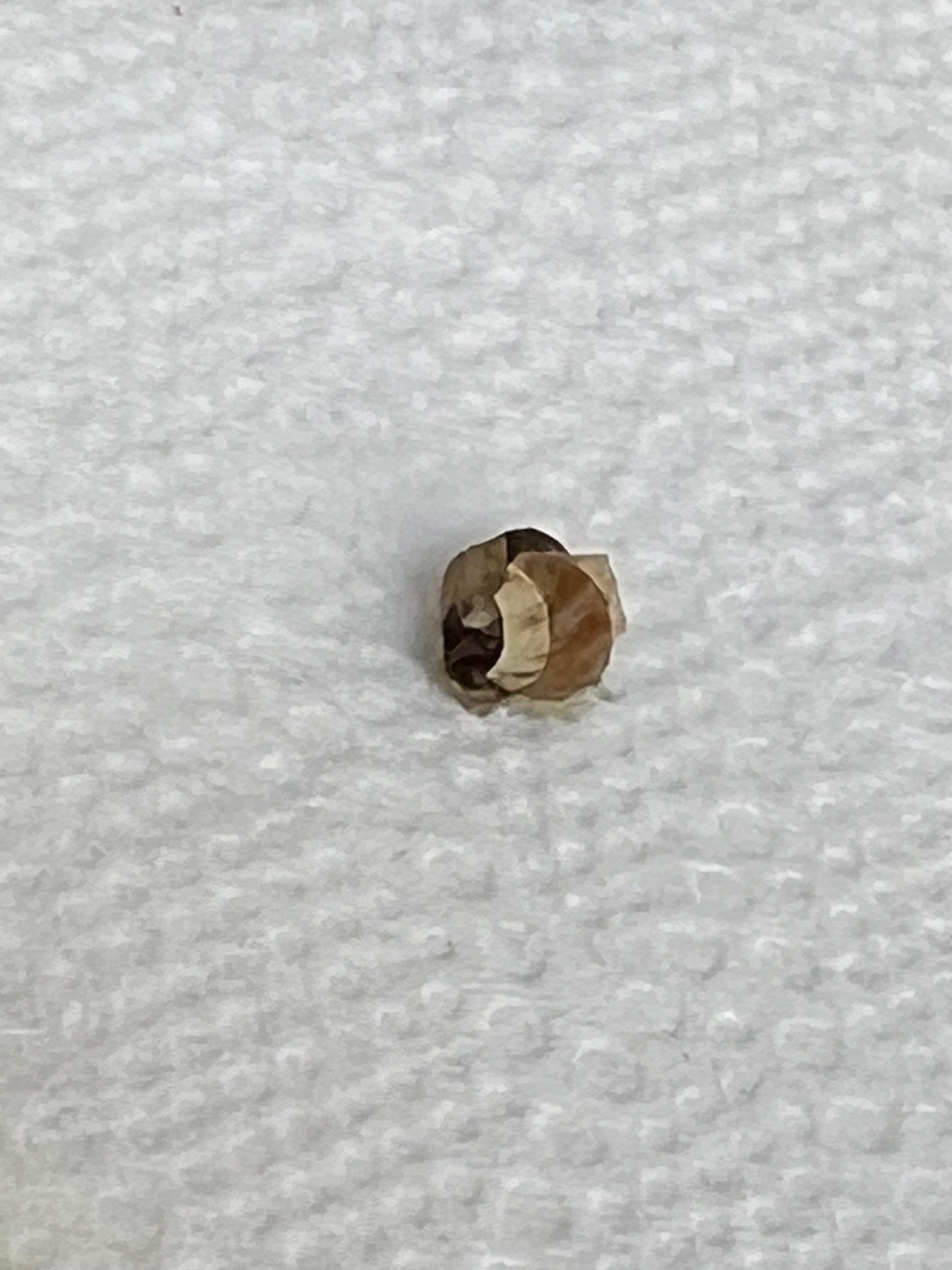 Thabraca Thalasso & Diving-官方