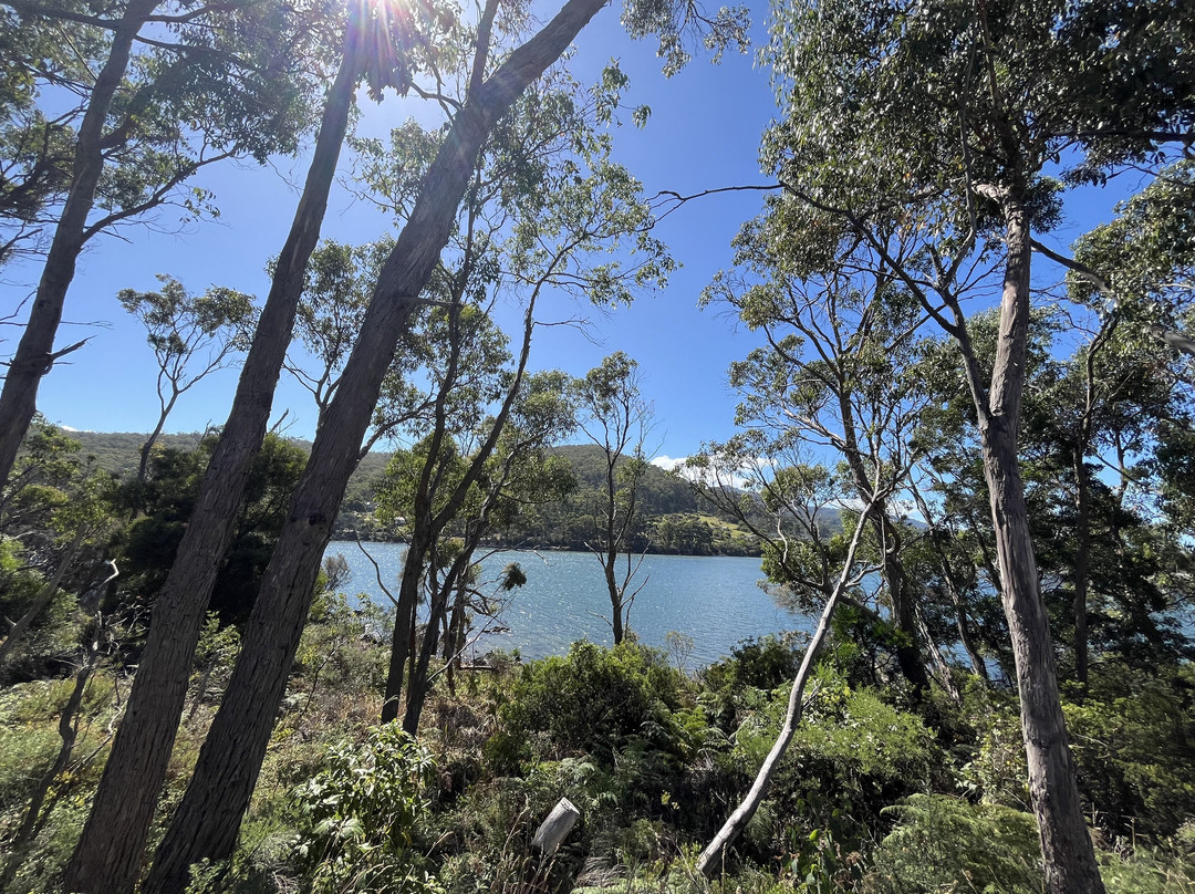Blue Seal Cafe Eaglehawk Neck, Tasmania