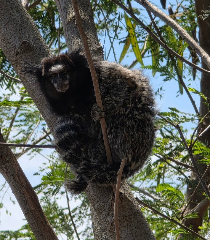 Mirante do Barreiro-伊利亚贝拉必去景点