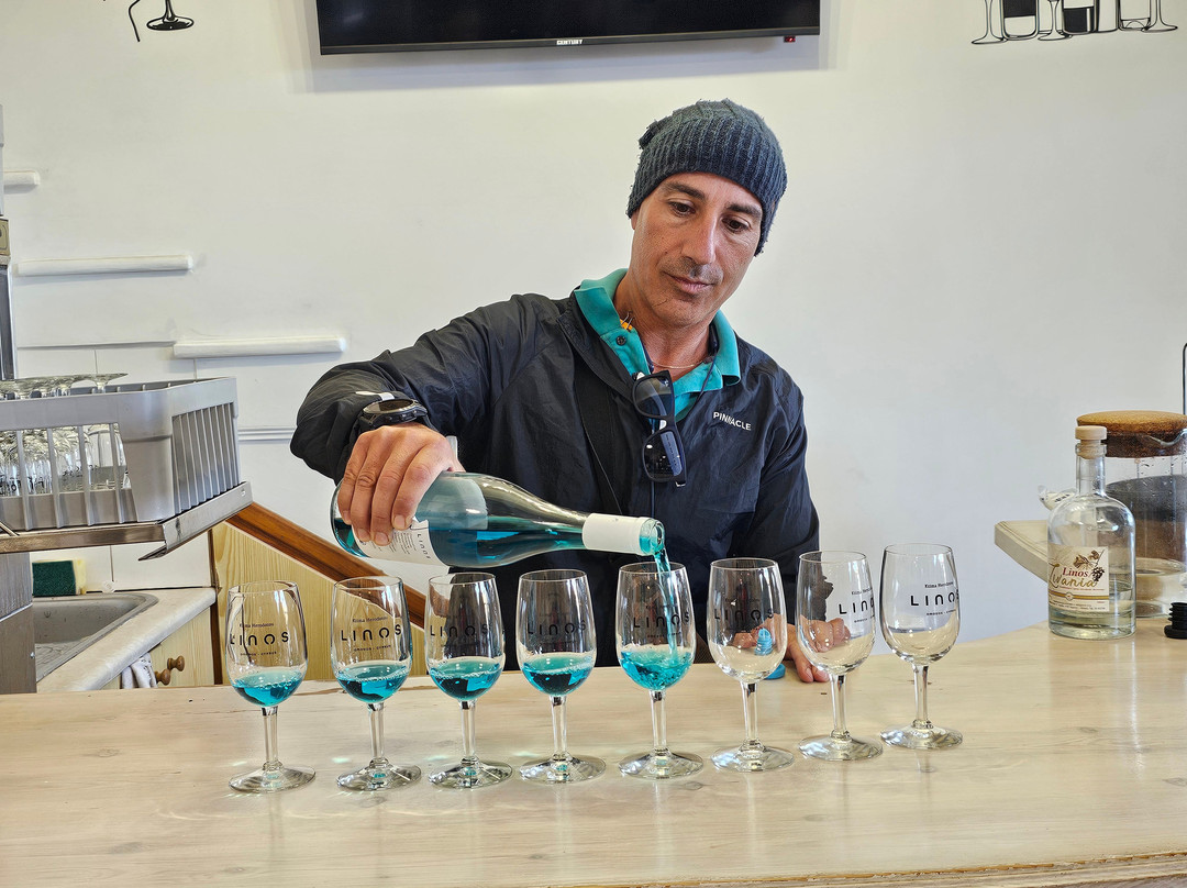 Cyprus Sunshine Safari Tours-Tala必去景点