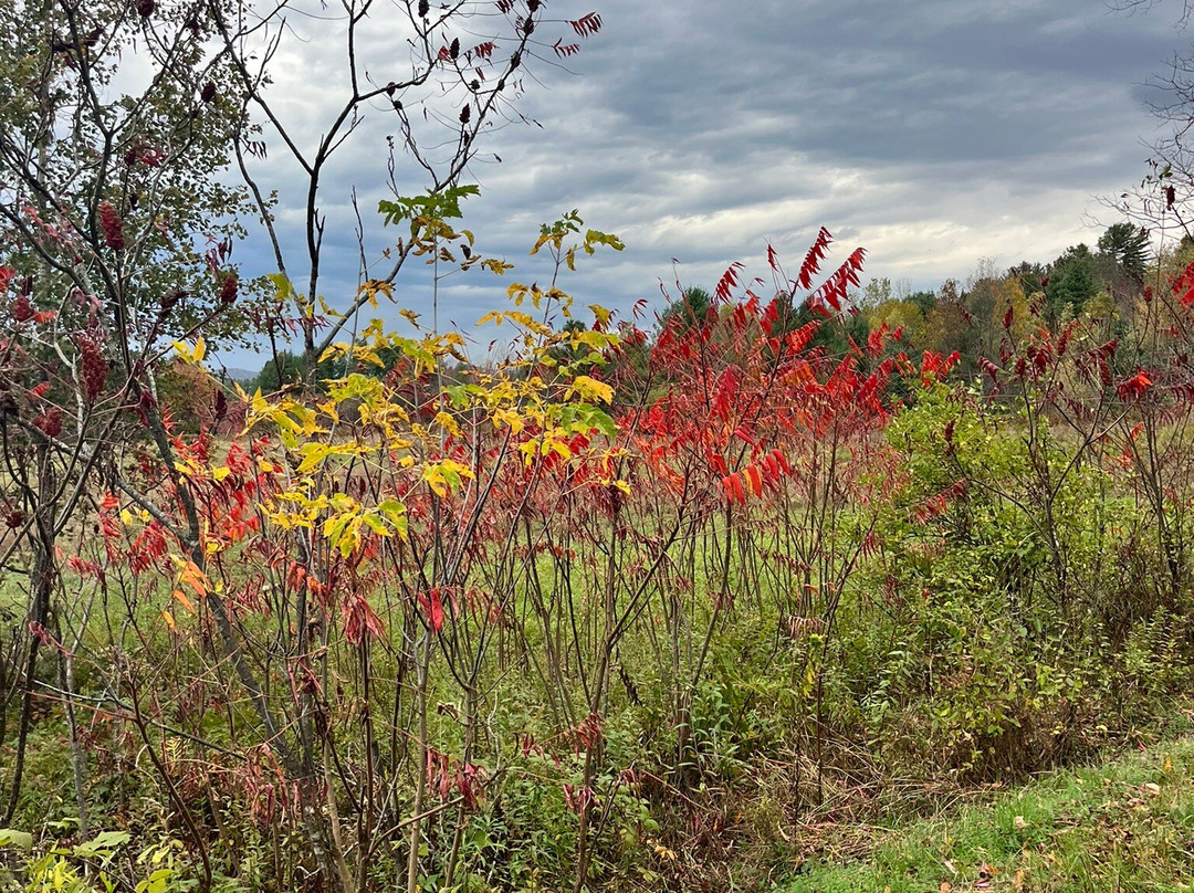 Lamoille Valley Bike Tours-Johnson必去景点