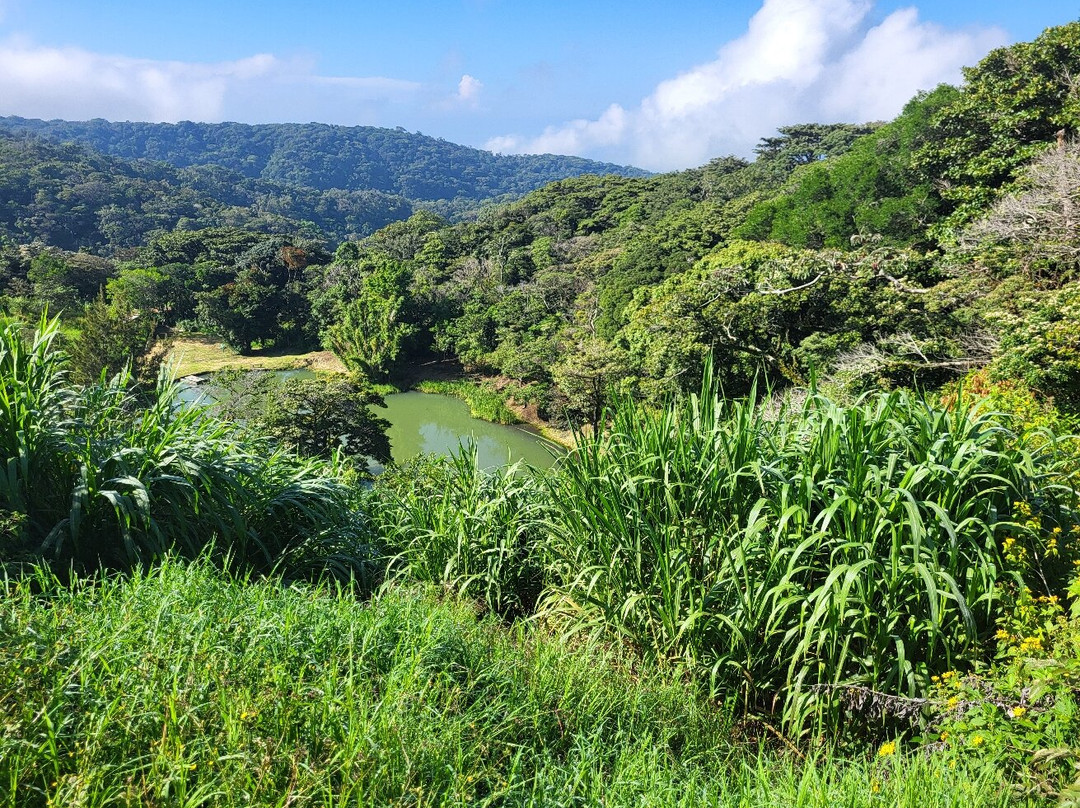 Hotel Montaña Monteverde主图