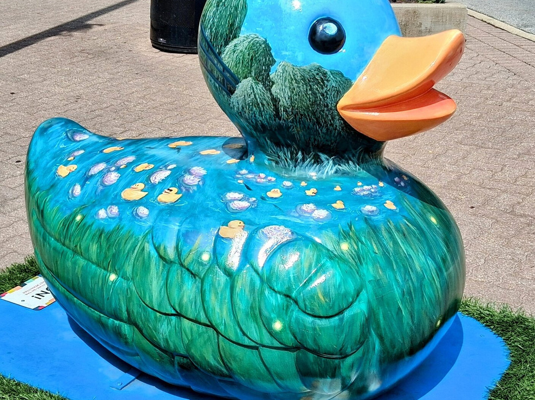 Riverwalk-内珀维尔必去景点