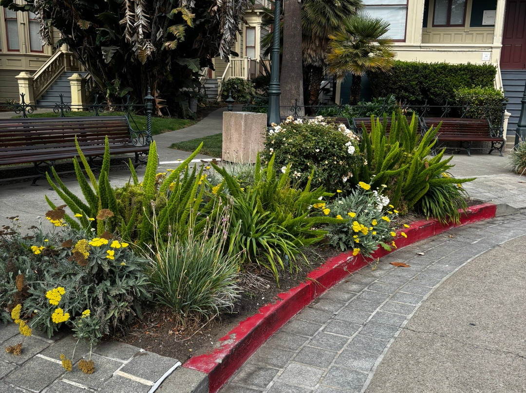 Preservation Park-奥克兰必去景点