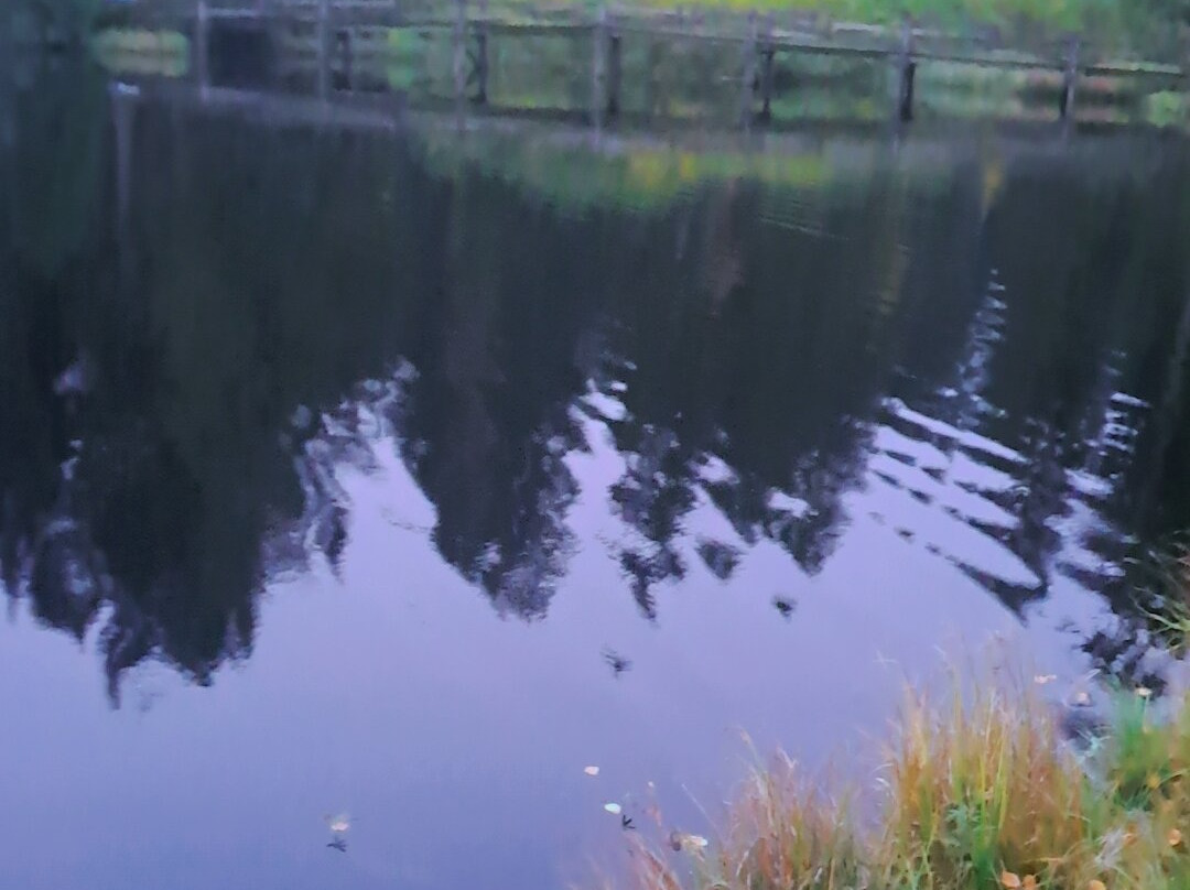 Etang de la Gruère-Saignelégier必去景点