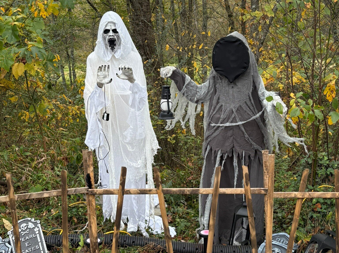 Cedar Mountain Moonshine-Cedar Mountain必去景点