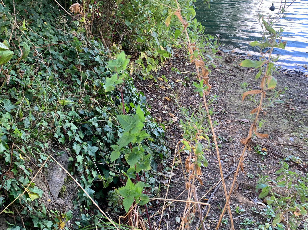 Eastbrookend Country Park-Dagenham必去景点
