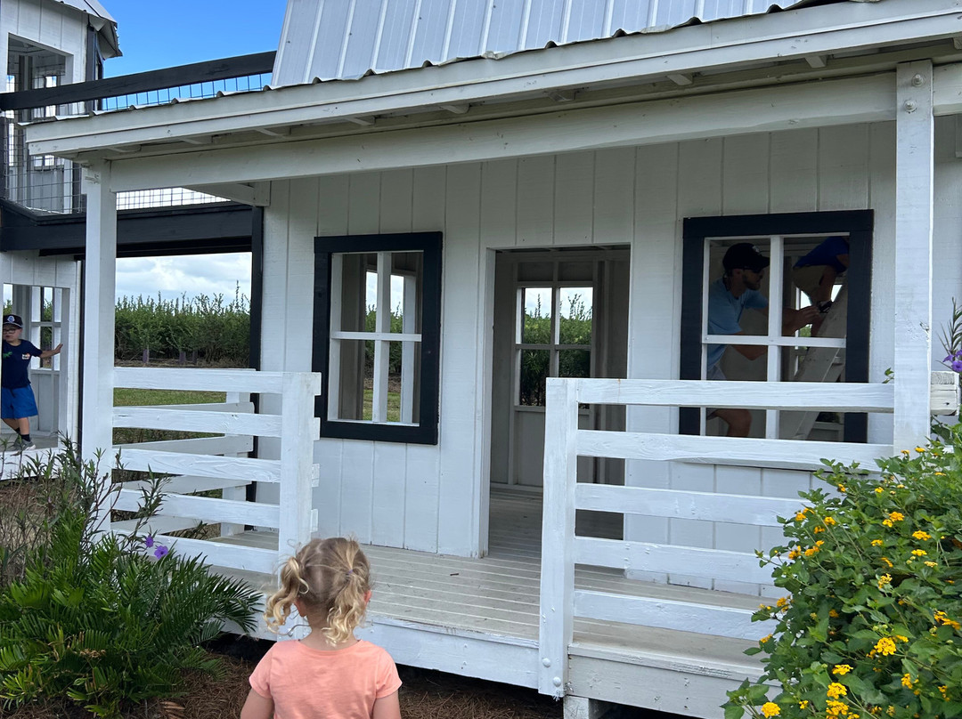 Amber Brooke Farms Eustis-Eustis必去景点