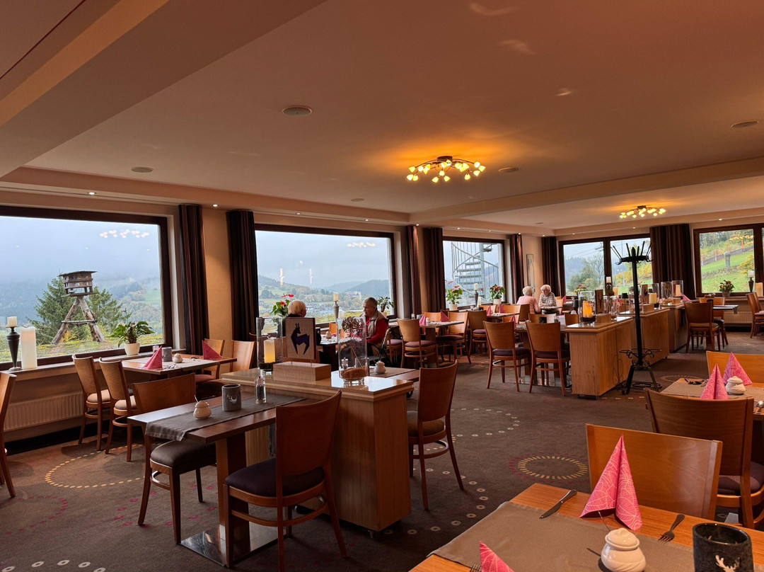Wald Hotel Willingen主图
