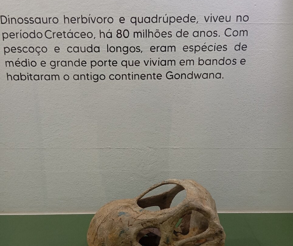 Paleontologia de Marilia Museum-Marilia必去景点