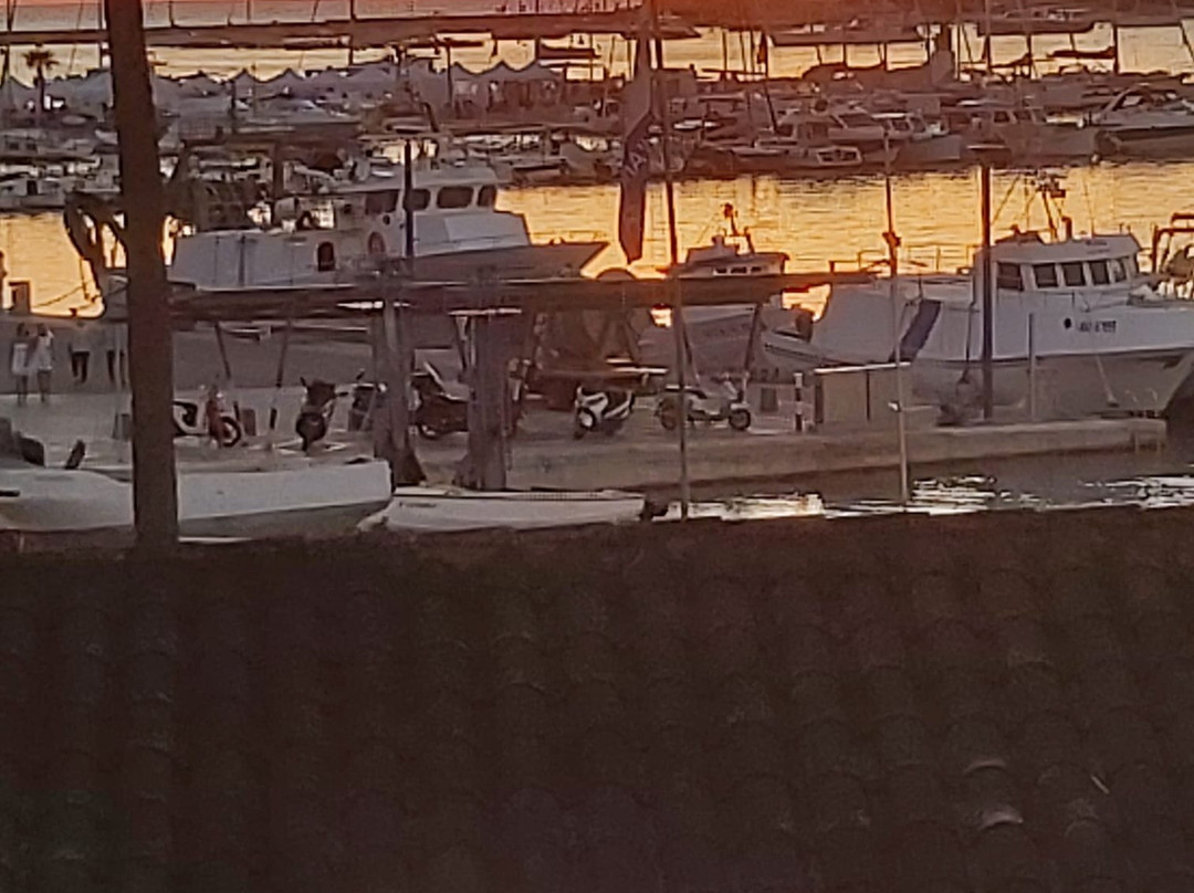 Port D' Andratx-Port d'Andratx必去景点