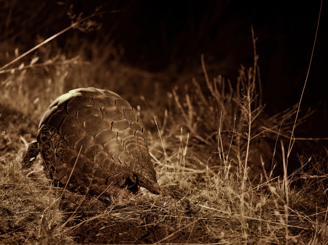 Great Explorations Namibia-温德和克必去景点