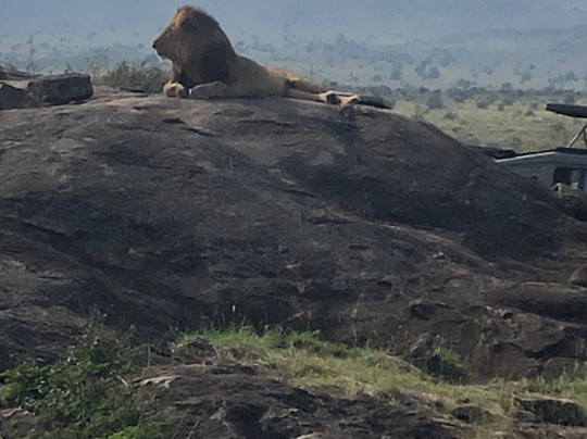 Joyina Safaris Africa-内罗毕必去景点