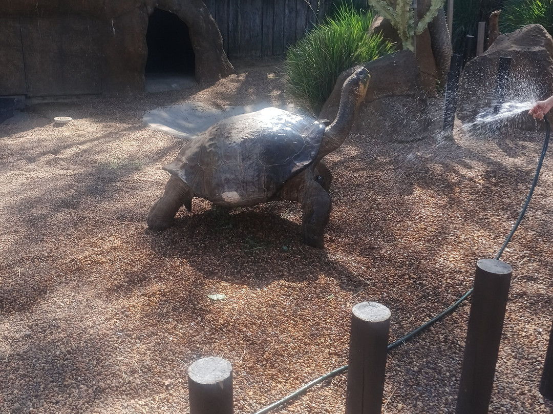 澳大利亚爬行动物园-Somersby必去景点