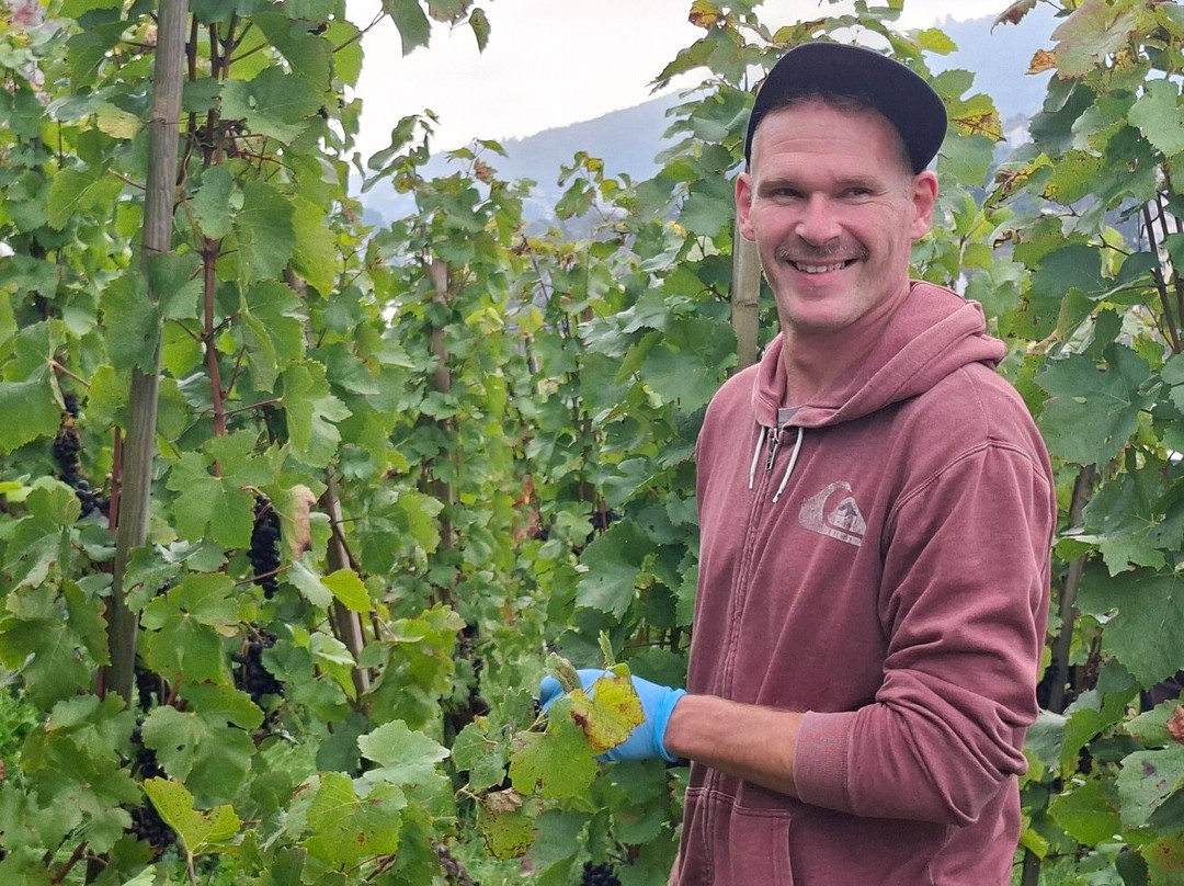 Vienna House by Wyndham Zur Bleiche Schaffhausen主图