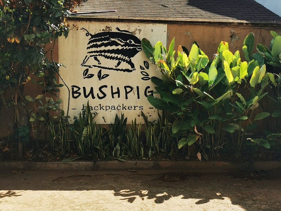 Bushpig Backpacker Hostel主图