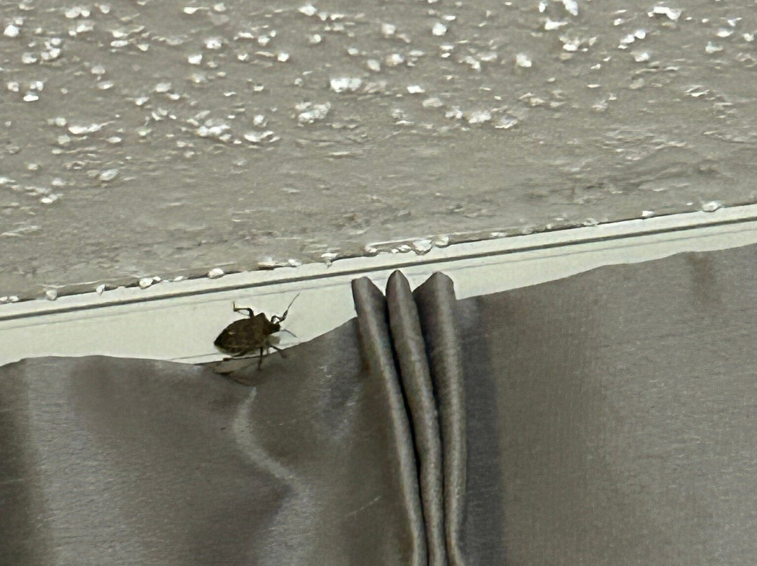 Motel 6 Scottsboro, AL – Hwy 72主图