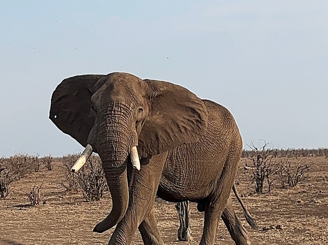 KPS Safaris & Tours-伐拉博瓦必去景点