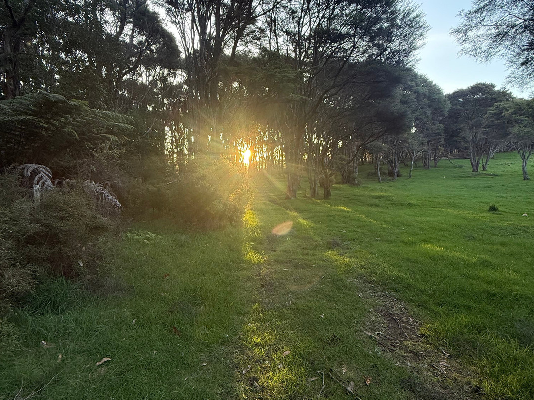 Hakea Eco Camp - Raglan