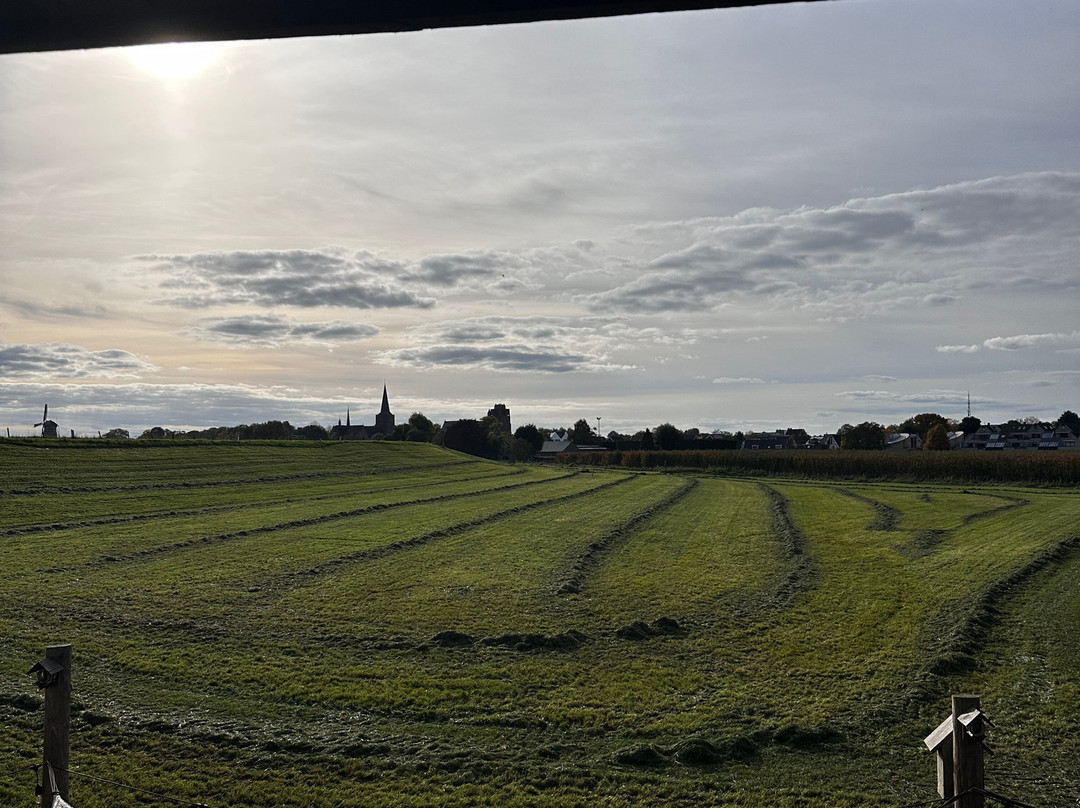The Dike Lodges