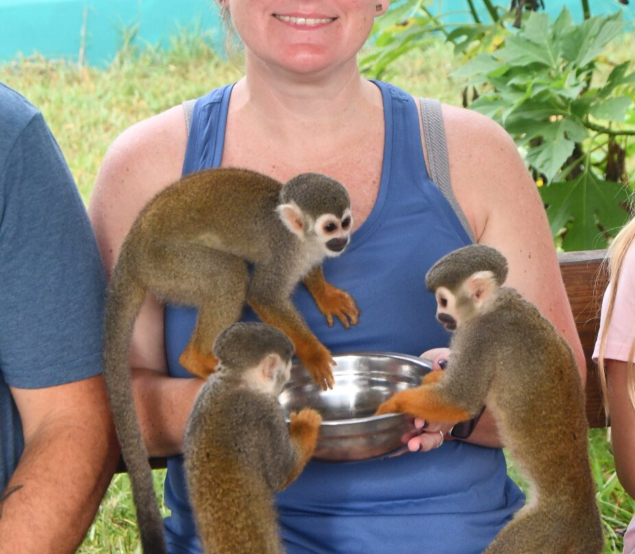 RV Tours DR-普拉塔港必去景点