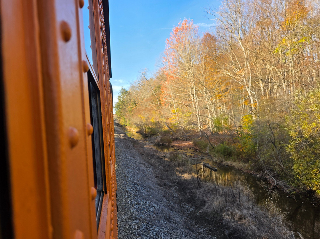 Arcade and Attica Railroad-Arcade必去景点