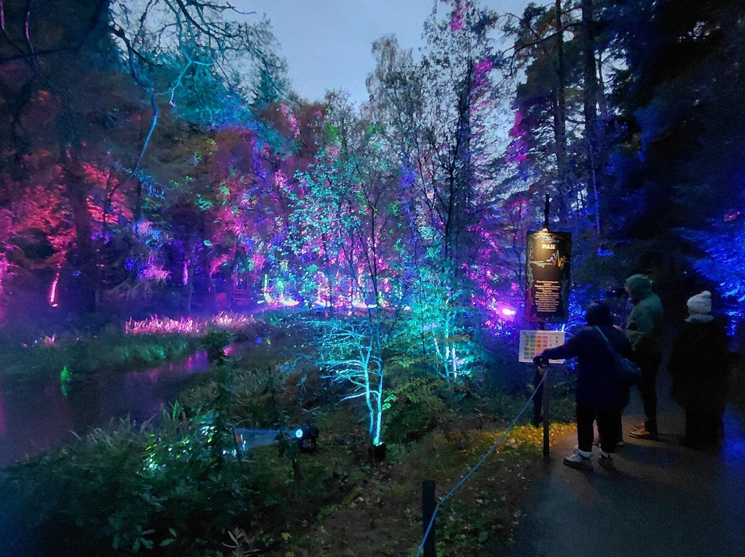 The Enchanted Forest-皮特洛赫里必去景点