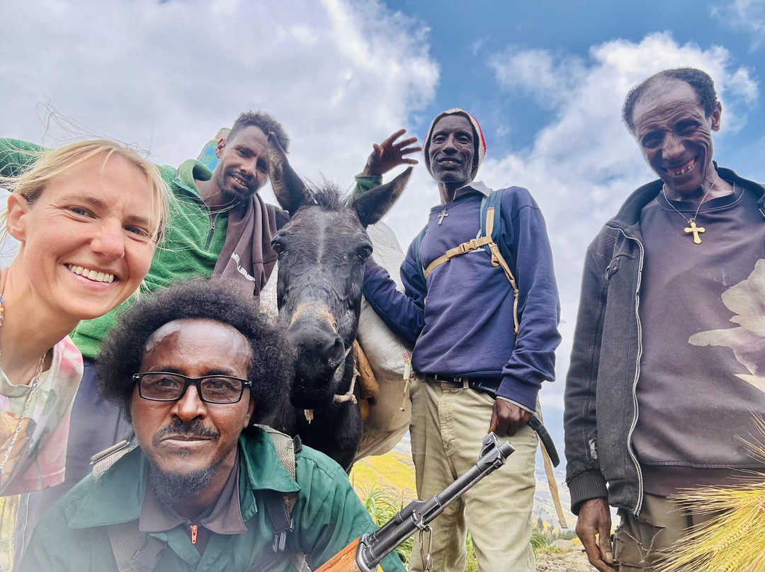 David Simien Tours-Debark必去景点