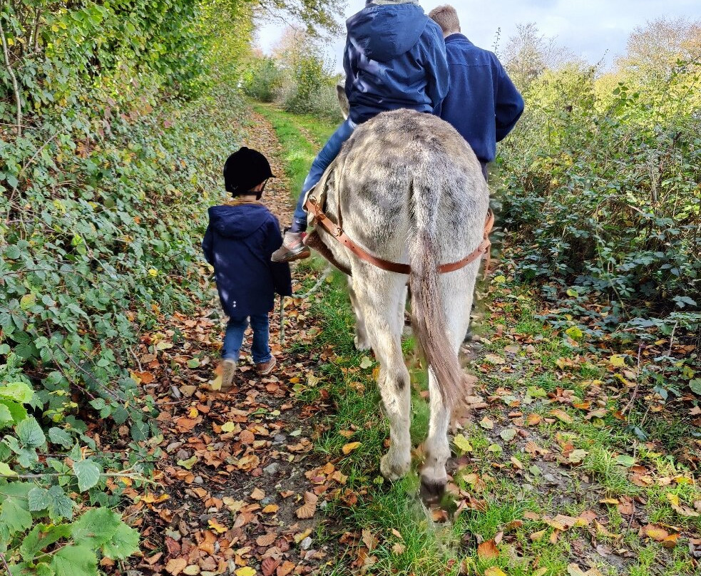 Anes et Co-Walcourt必去景点