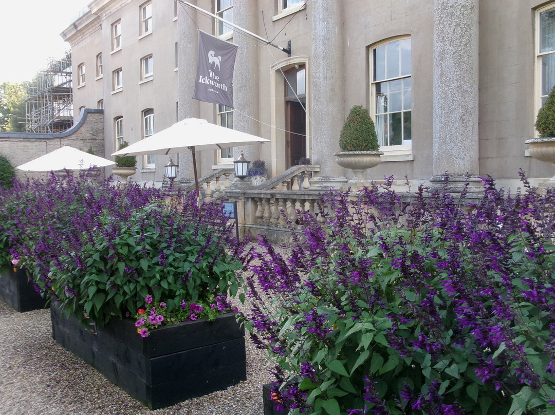 The Ickworth Hotel主图