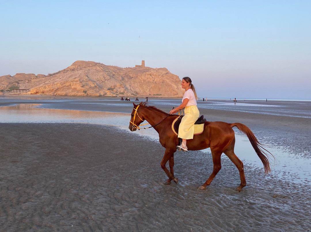 Horse Riding Oman-Barka必去景点