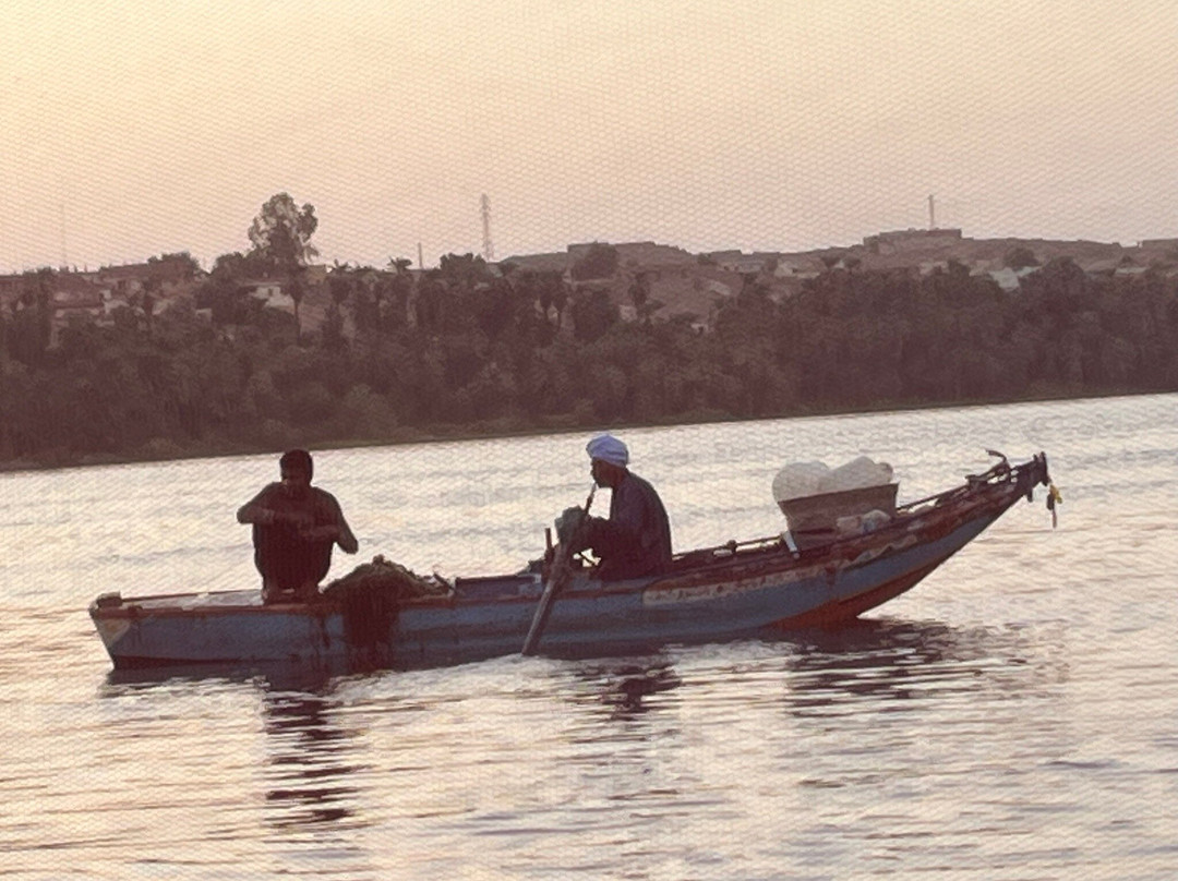 Hamdy Cook Felucca-亚斯文必去景点