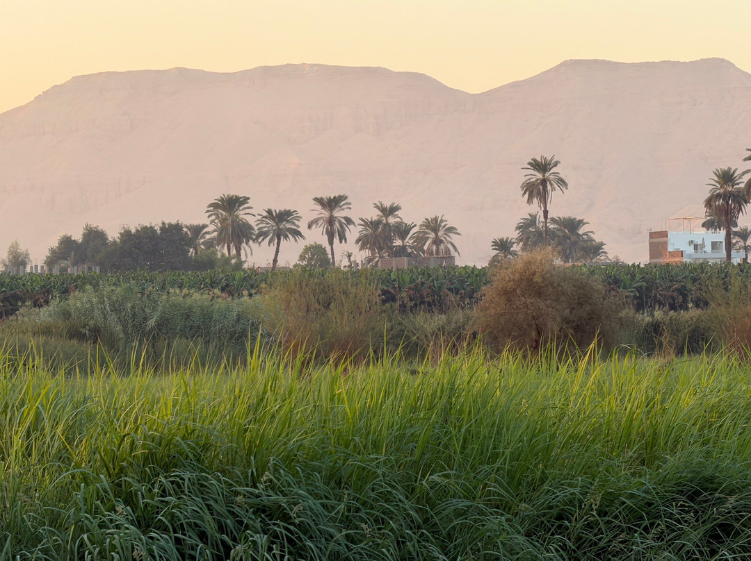 New Memnon Hotel主图