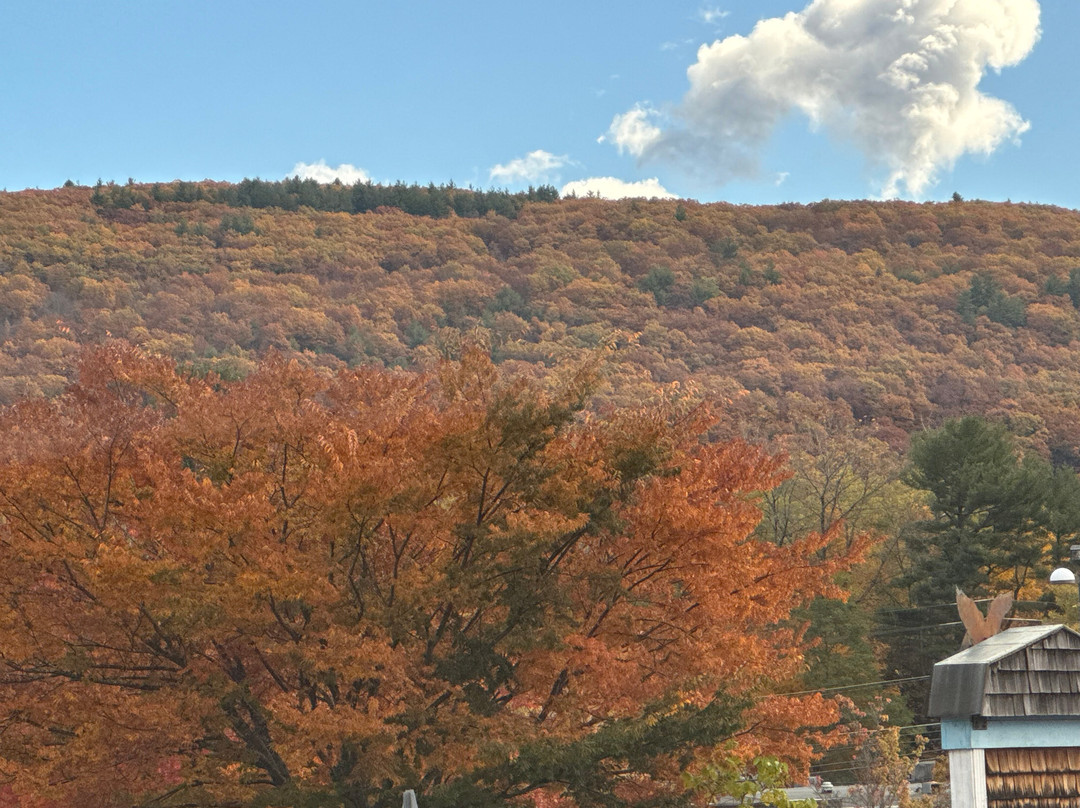 Holiday Inn Express & Suites Brattleboro by IHG主图