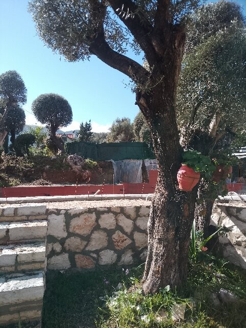 Philippos Hotel Apartments主图