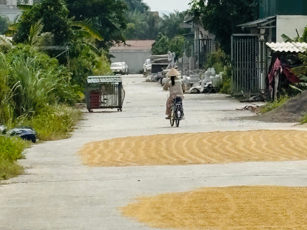 Ninh Binh Motorbike Rental-Ninh Thang必去景点