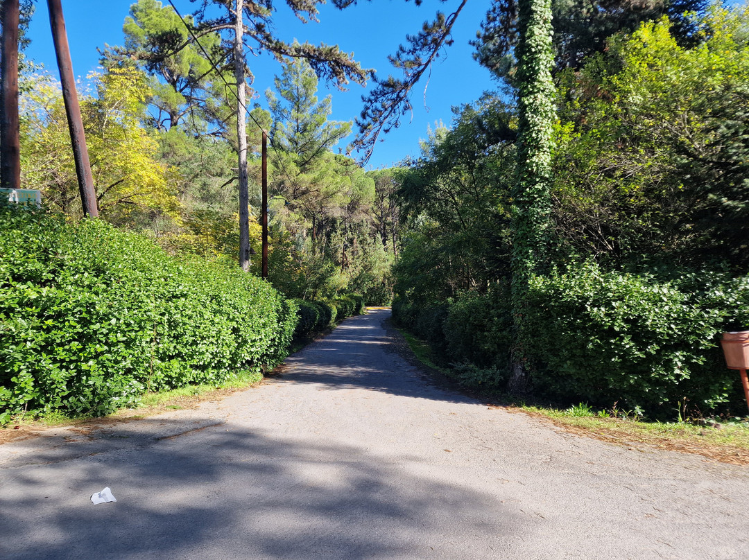 Agios Georgios Park-Tripoli必去景点