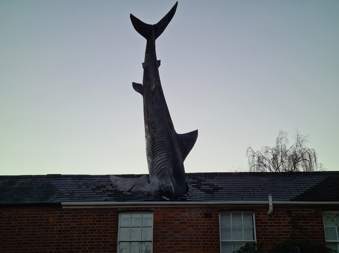 Headington Shark-Headington必去景点