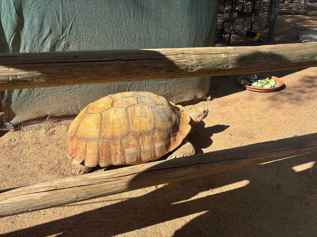 Southwest Wildlife Conservation Center-斯科茨代尔必去景点