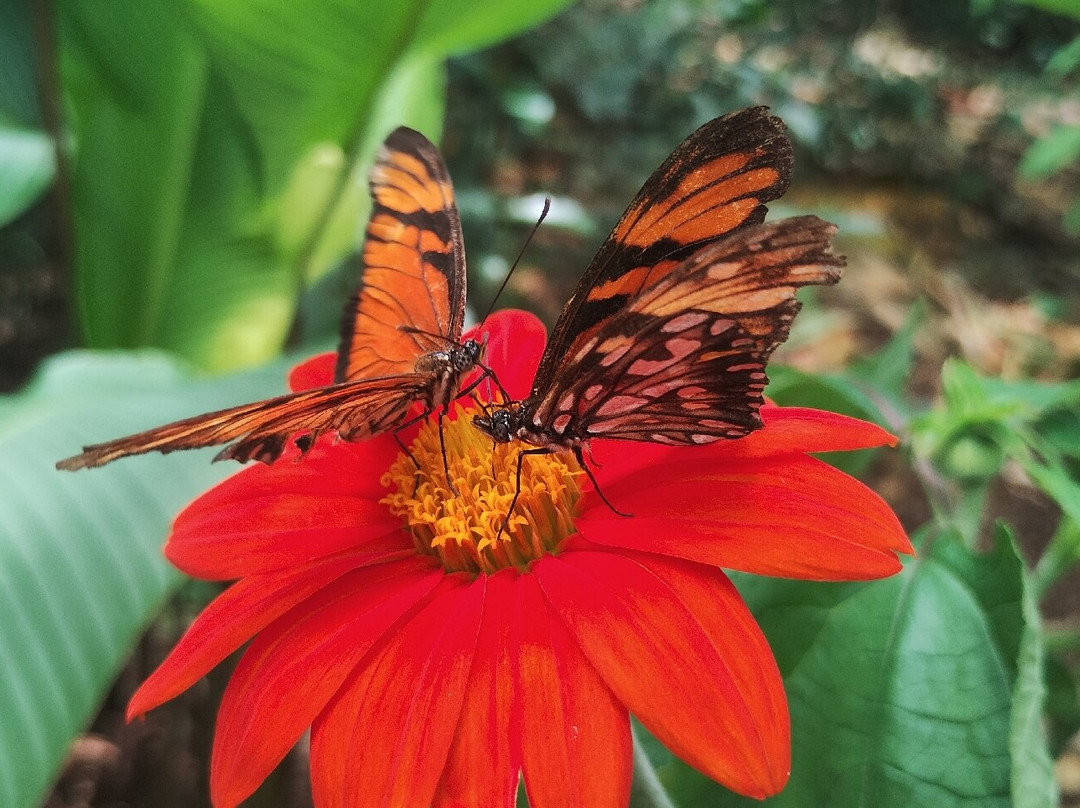 Parque Ecobiológico Maripoxa-奥克萨潘帕必去景点