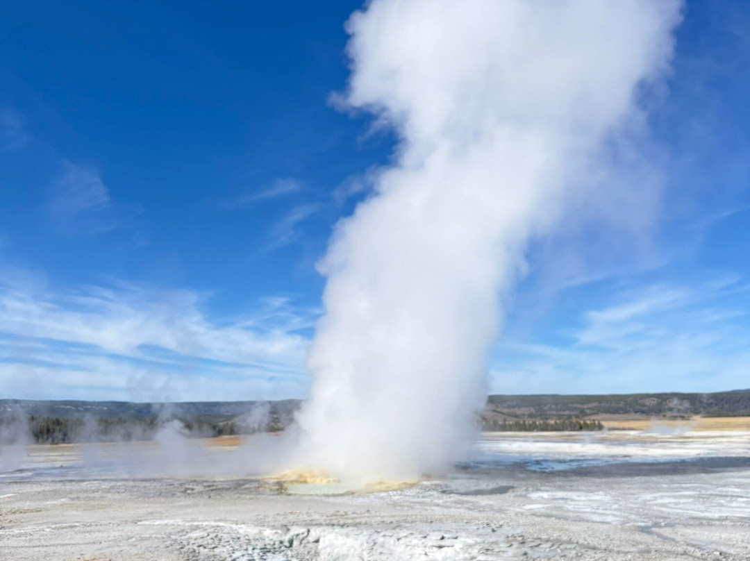 Jackson Hole Eco Tour Adventures-杰克逊必去景点