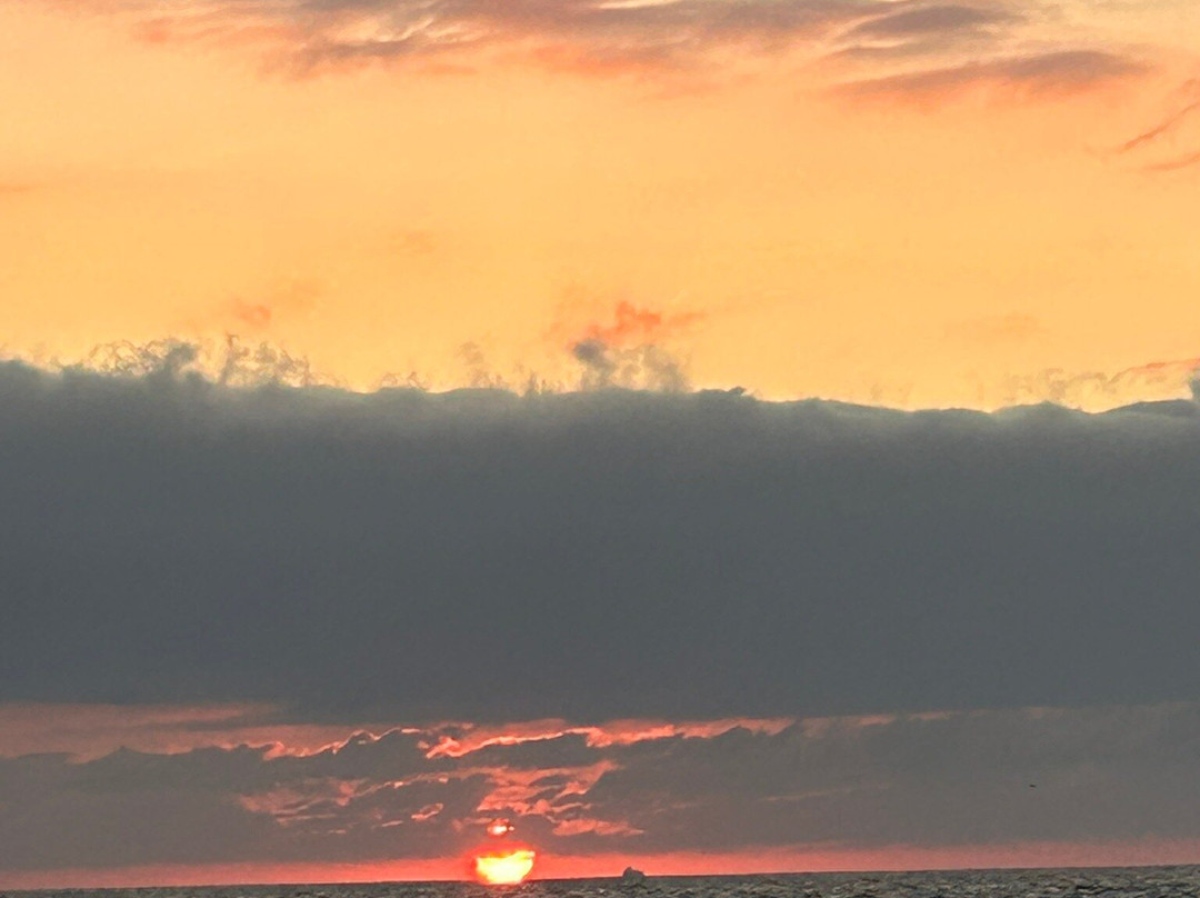 Vallarta Adventures-新瓦雅塔必去景点