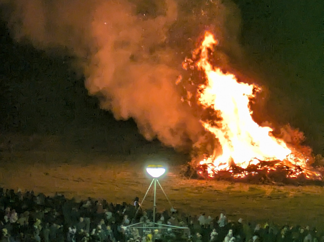 Apley Farm Shop-Norton必去景点